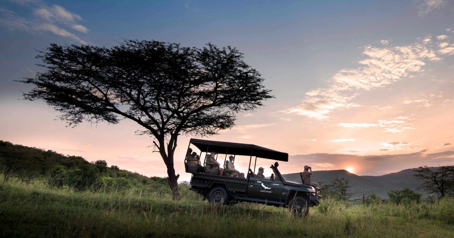 Füge eine Safari zu deiner Expedition Kilimanjaro hinzu und genieße den Serengeti-Nationalpark.